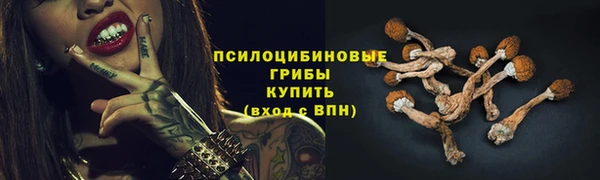 соль курить ск Михайлов