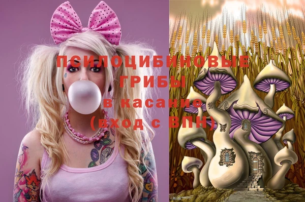 соль курить ск Михайлов