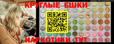 гашик Абинск