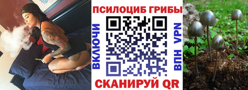 Галлюциногенные грибы ЛСД магазин продажи Алексин