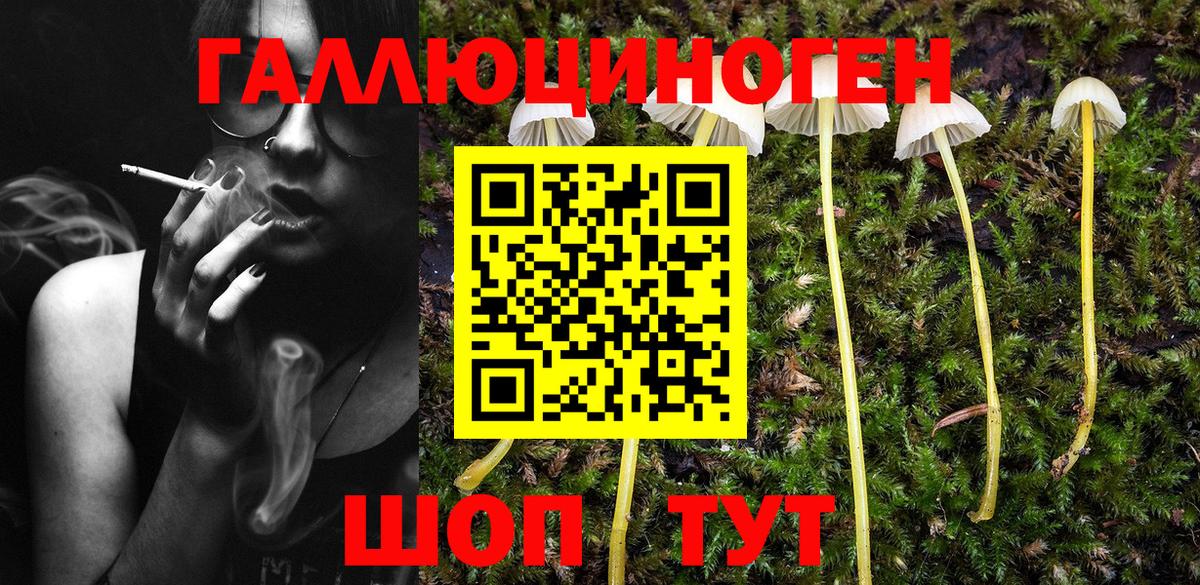 Галлюциногенные грибы Magic Shrooms Алексин