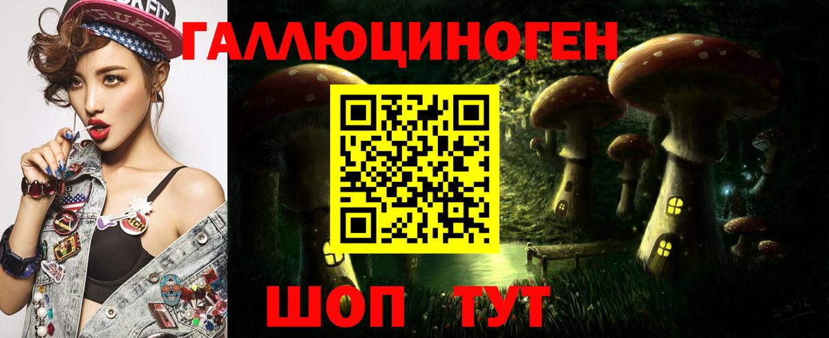Псилоцибиновые грибы мицелий  Вход с VPN  Алексин  Галлюциногенные грибы Psilocybe 