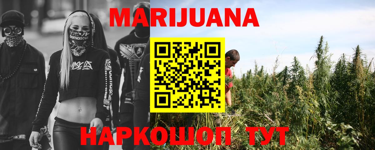 Каннабис планчик  Конопля VHQ  Каннабис гибрид  Алексин 